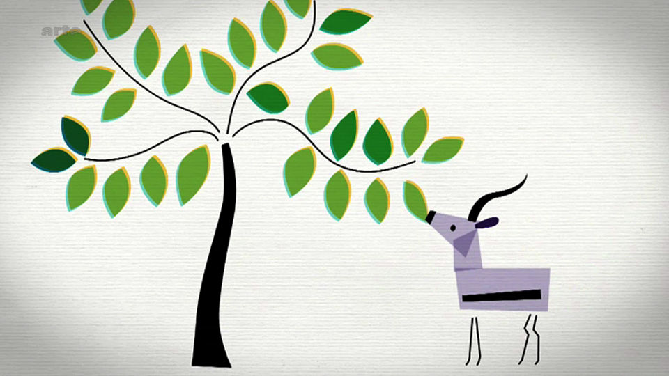 arbres.jpg